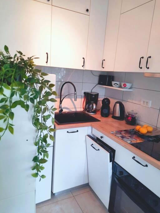 Apartman Nane Солин Экстерьер фото